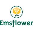 Emsflower