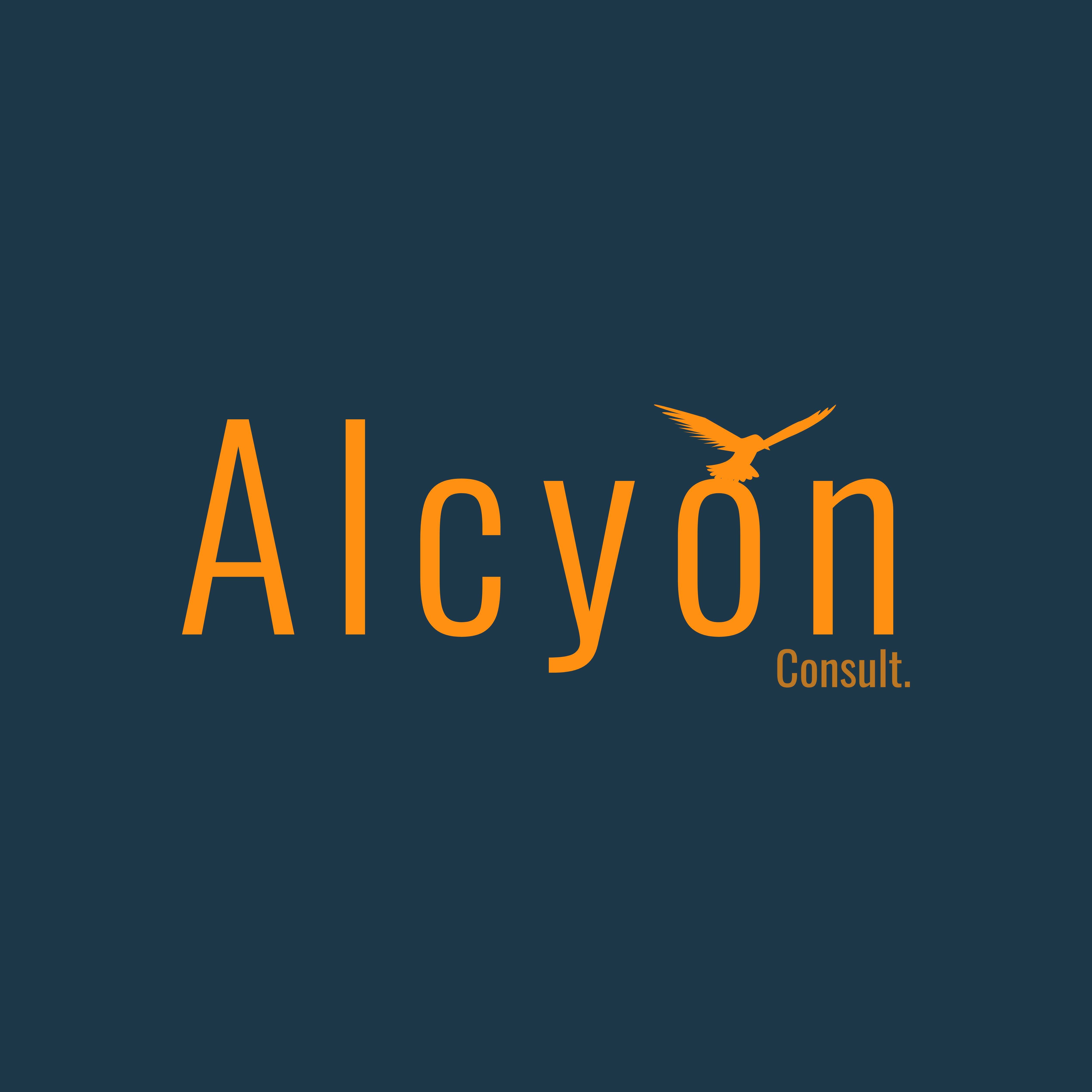 Alcyon-Consult
