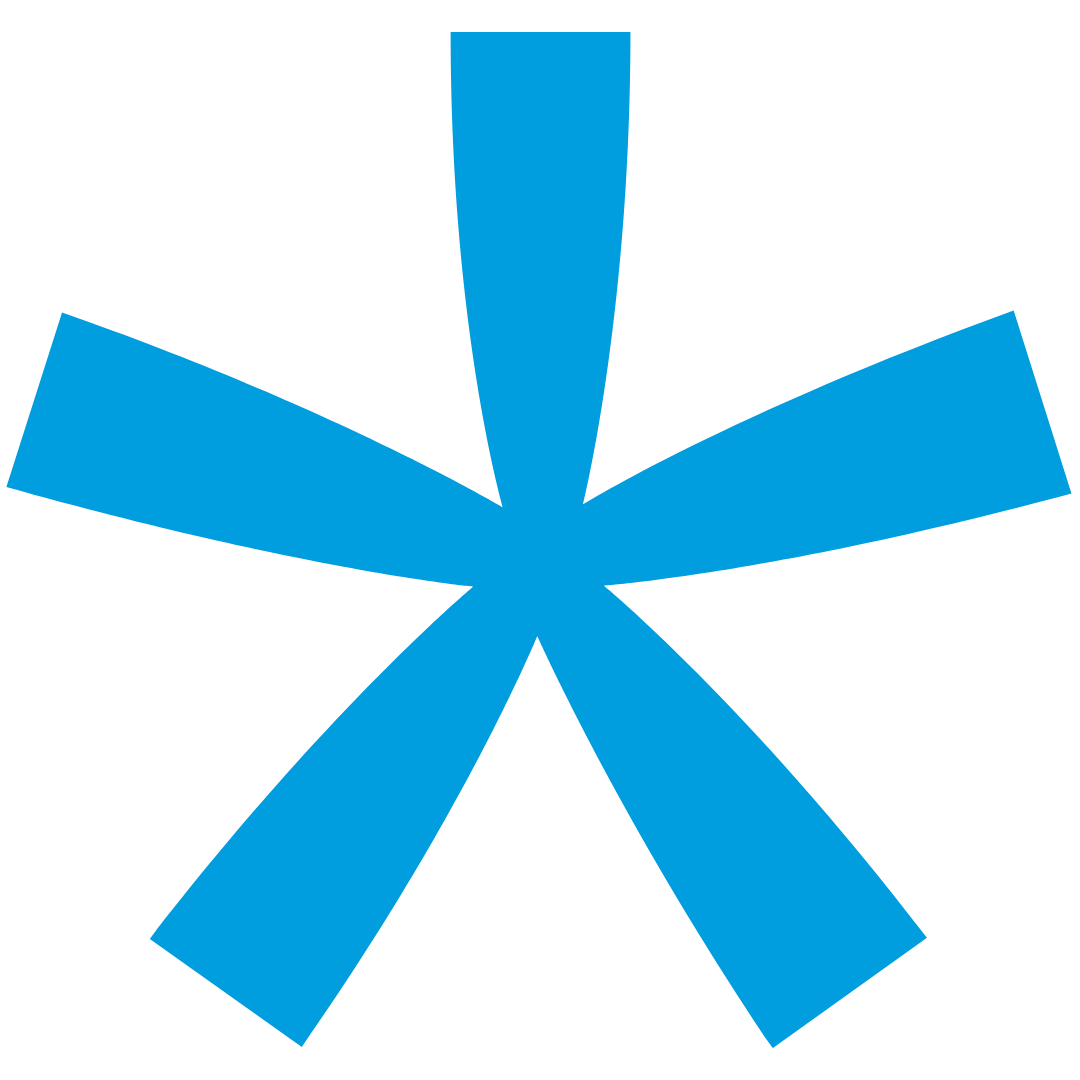 NHS  Steuerberatungsgesellschaft