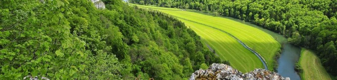 Ein weites, grünes Tal mit einem Fluss, der sich durch die Landschaft windet. Auf der linken Seite ist dichter Wald, während die rechte Seite von Wiesen und Feldern geprägt ist.