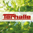 Terhalle Holding