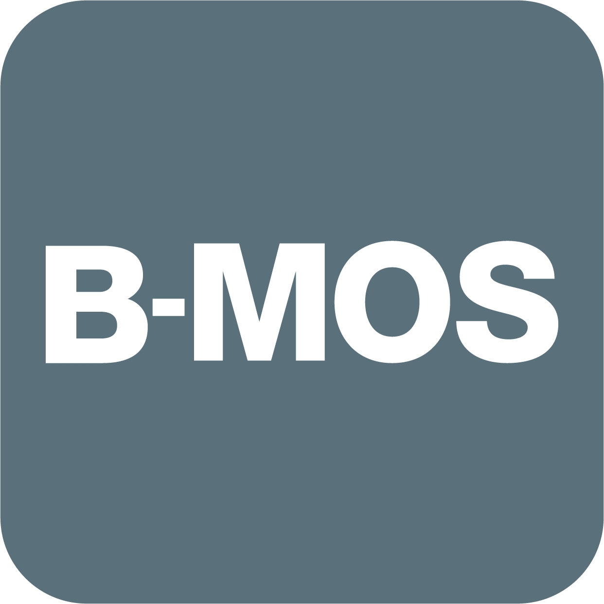 B-MOS Baugruppe Munition Ortungsservice