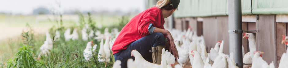 Frau umgeben von Hühnern