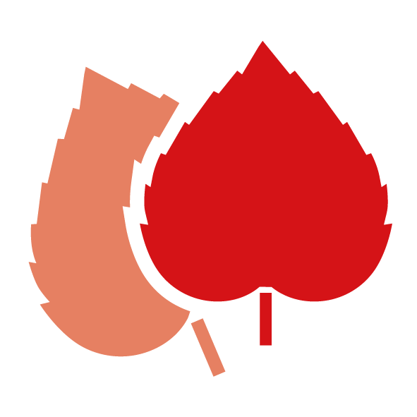 KATHARINENHOF Haus Quellenhof