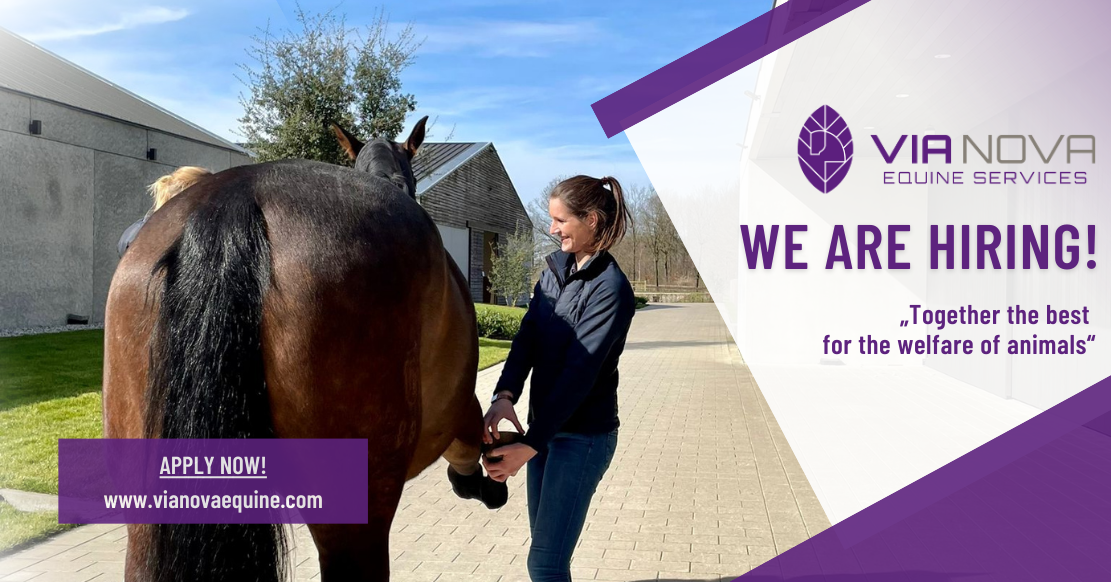 Internship Veterinarian at Via Nova Equine Services BV softgarden