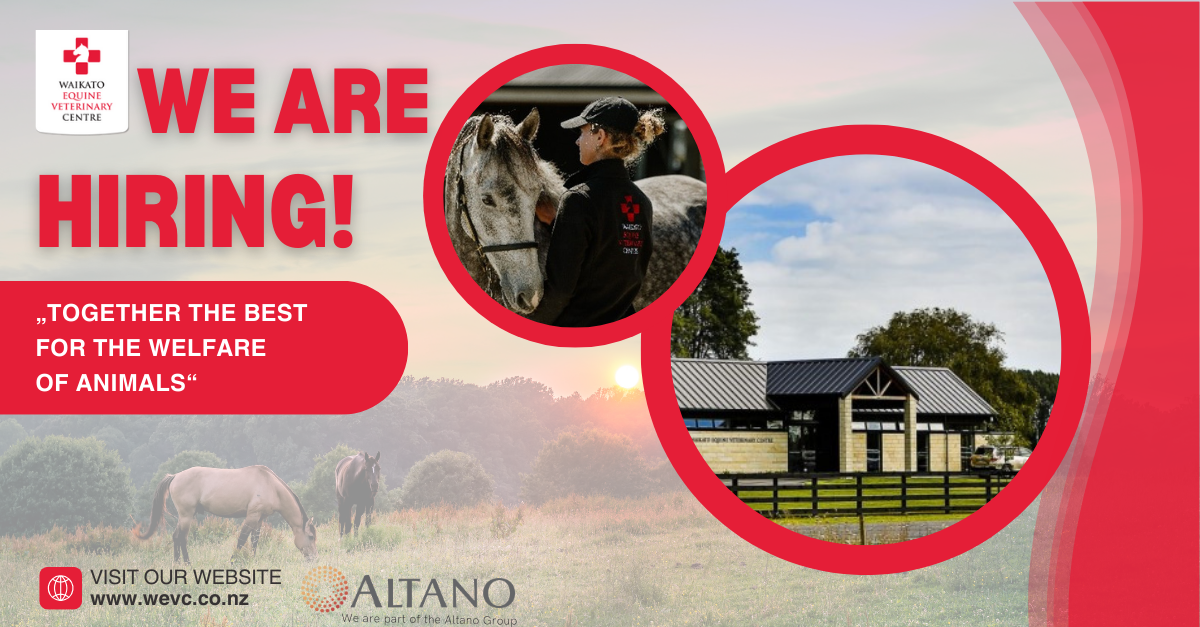 Equine Veterinary Internship Position at Waikato Equine Veterinary