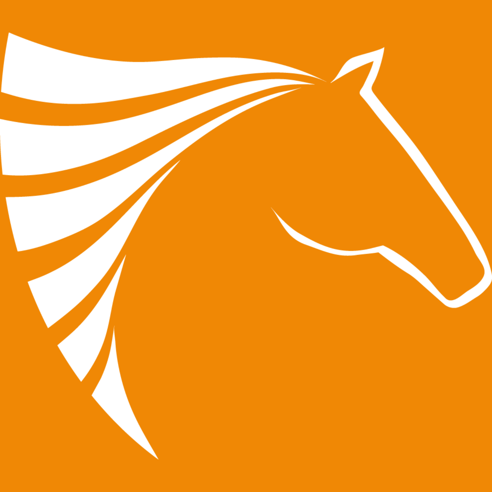 CSB Schimmel Automobile